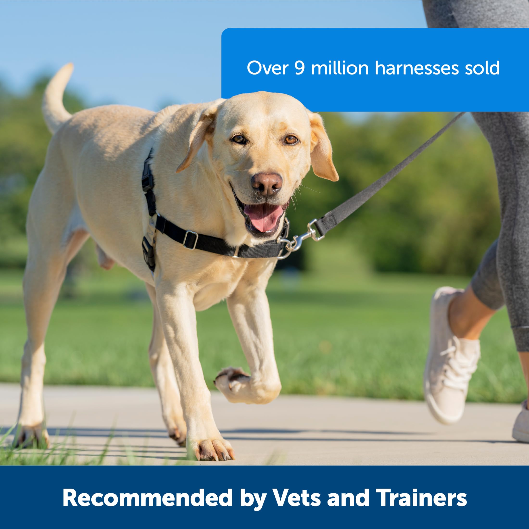 PetSafe Harnais Easy Walk avec Boucle Anti-Traction Et Laisse De 1,8 M, Promenade Confortable pour Vous Et Lui - 4 Points De RÃglage â€“ RÃsistant, Facile Ã€ Mettre Et Enlever â€“ Noir, Taille L