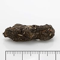 Vista 3 de Pellets de búho jumbo, paquete de 5, con hoja de clasificación de huesos, Inc.