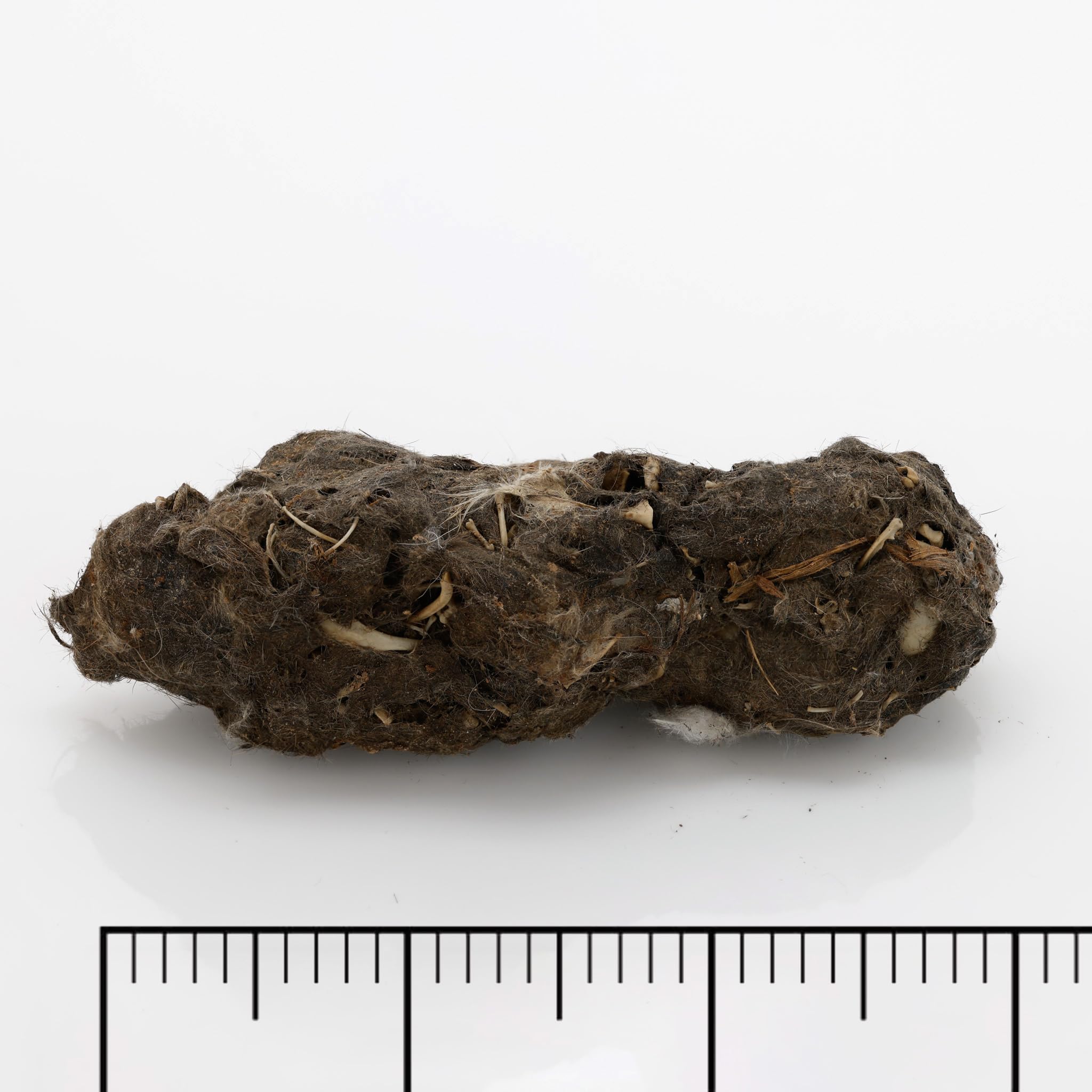 Inc. Jumbo Eulen-Pellets, 5 Stück, mit Knochen-Sortierblatt