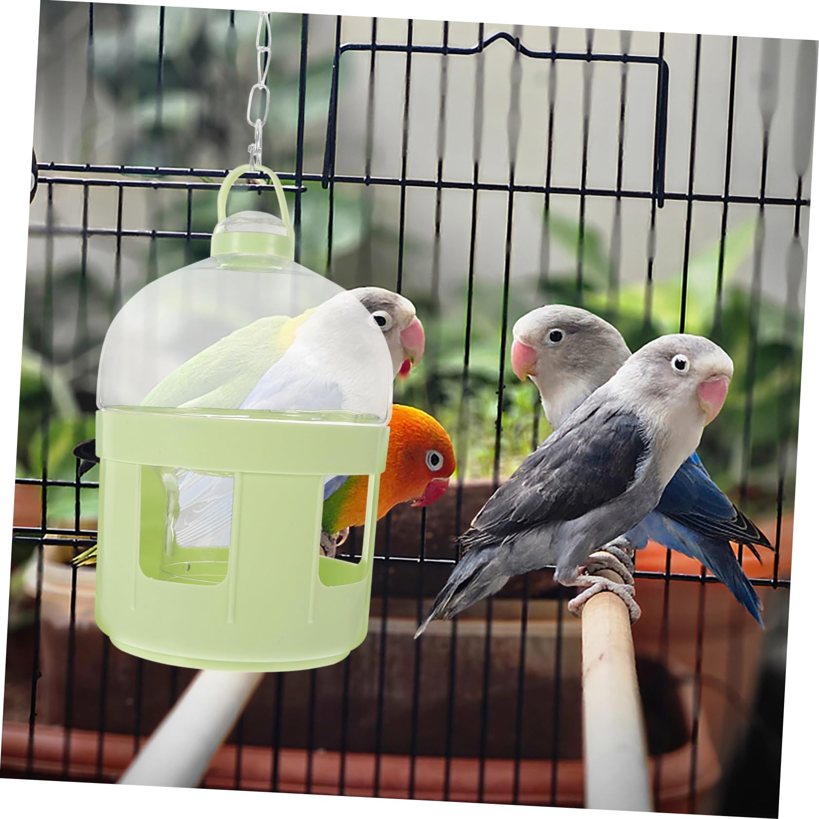 HANABASS 3piezas Dispenser De Agua para Aves De Bebedero Automático para Palomas y Codornices Contenedor De Plástico Suministro De Agua para Mascotas