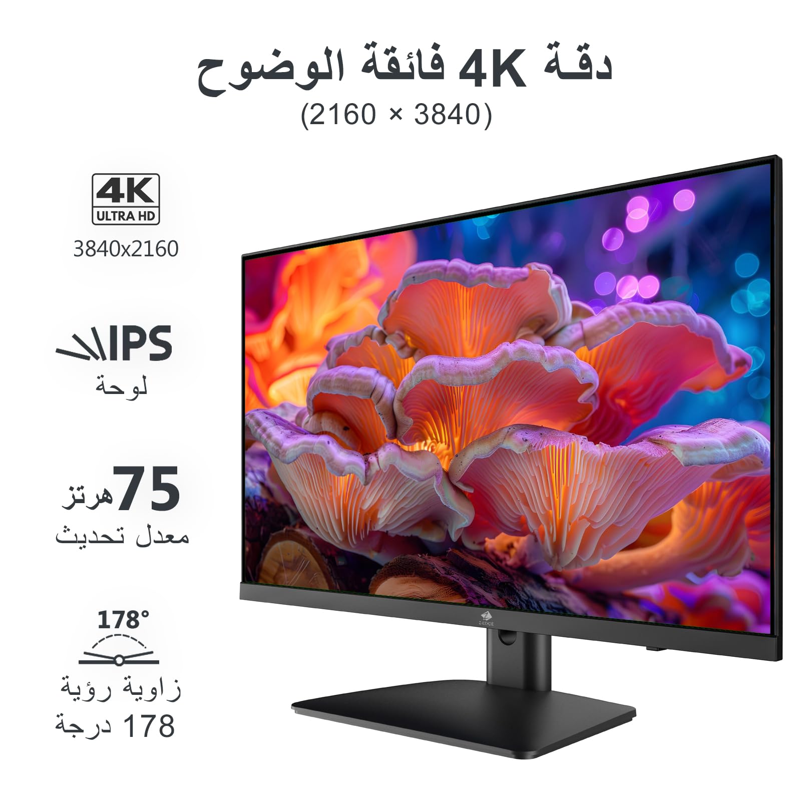 Z-Edge U27P4K 27-inch Gaming Monitor,4K UHD, 60Hz/IPS/LED/HDR