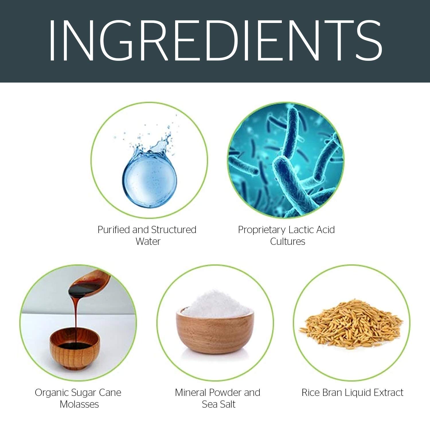 Buy SCD Probiotics ProBio Balance Plus Enhanced Probiotic Mother