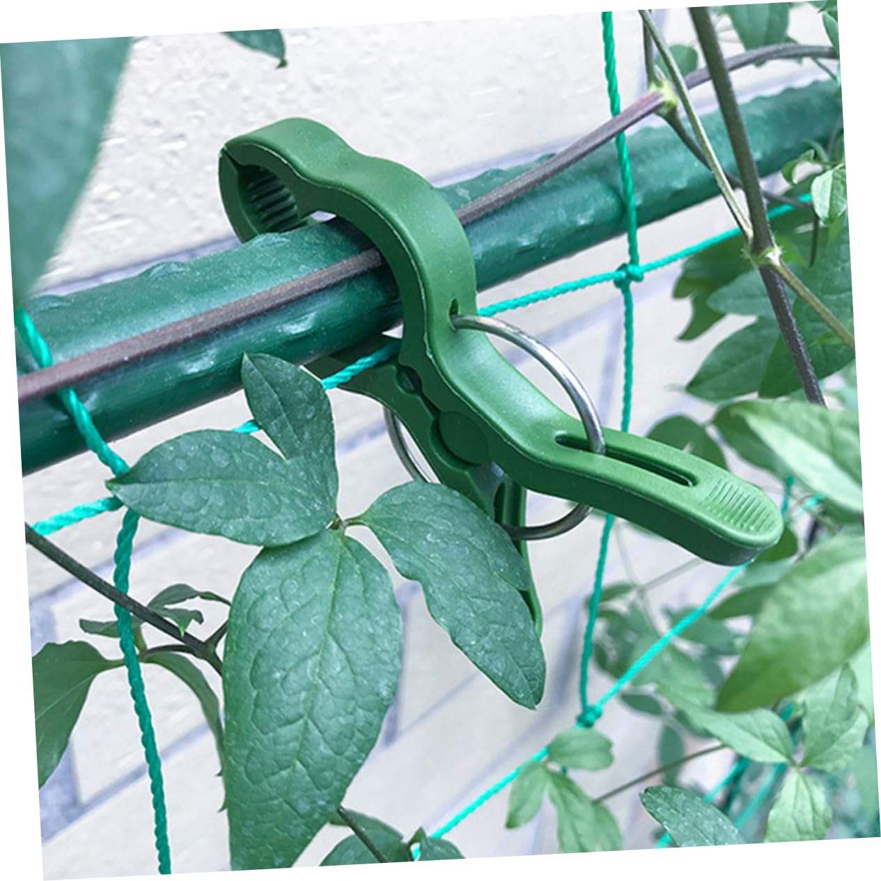 UPKOCH 4 Set Clip per Piante da Set Fermagli per Clip Regolabili E Resistenti per Piante Rampicanti E Accessori Pratici E Riutilizzabili per Giardinaggio 60 Pezzi*4