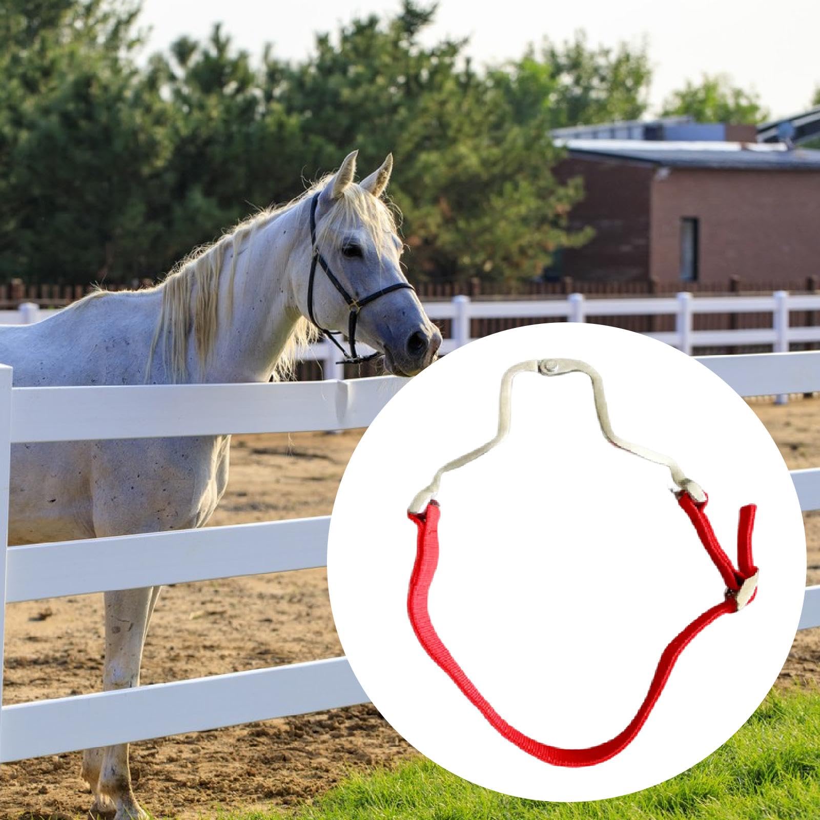 Pince à pour Chevaux - Outil de Soin des Chevaux - Alliage D'aluminium - Fournitures équestres - de Déglutition pour L'équita