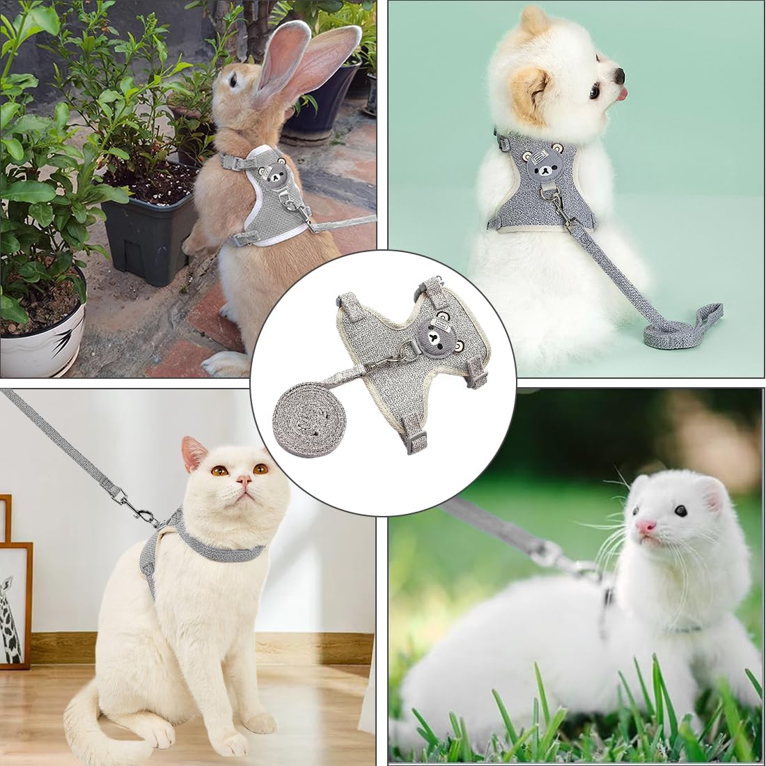 Guinzaglio E Pettorina Regolabile Per Conigli Nano E Piccoli Animali | XURJUMI Set Con Imbracatura Comfort