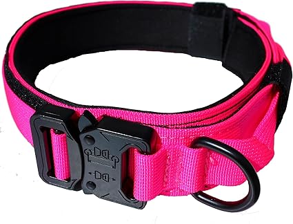 top performance dog brush