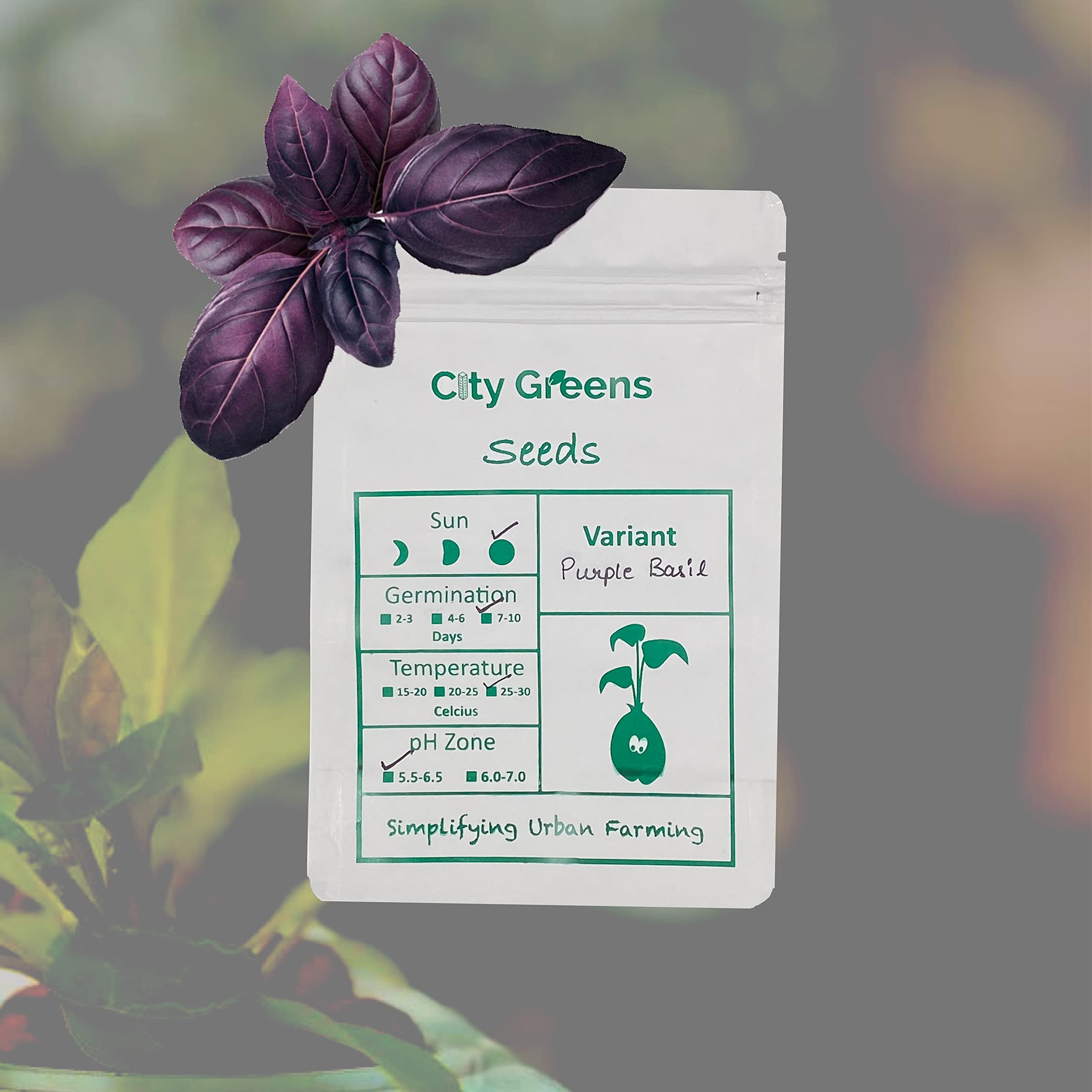 City Greens Purple Basil Seeds - 300 seeds (B08XJLVP5X) Amazon Price History, Amazon Price Tracker