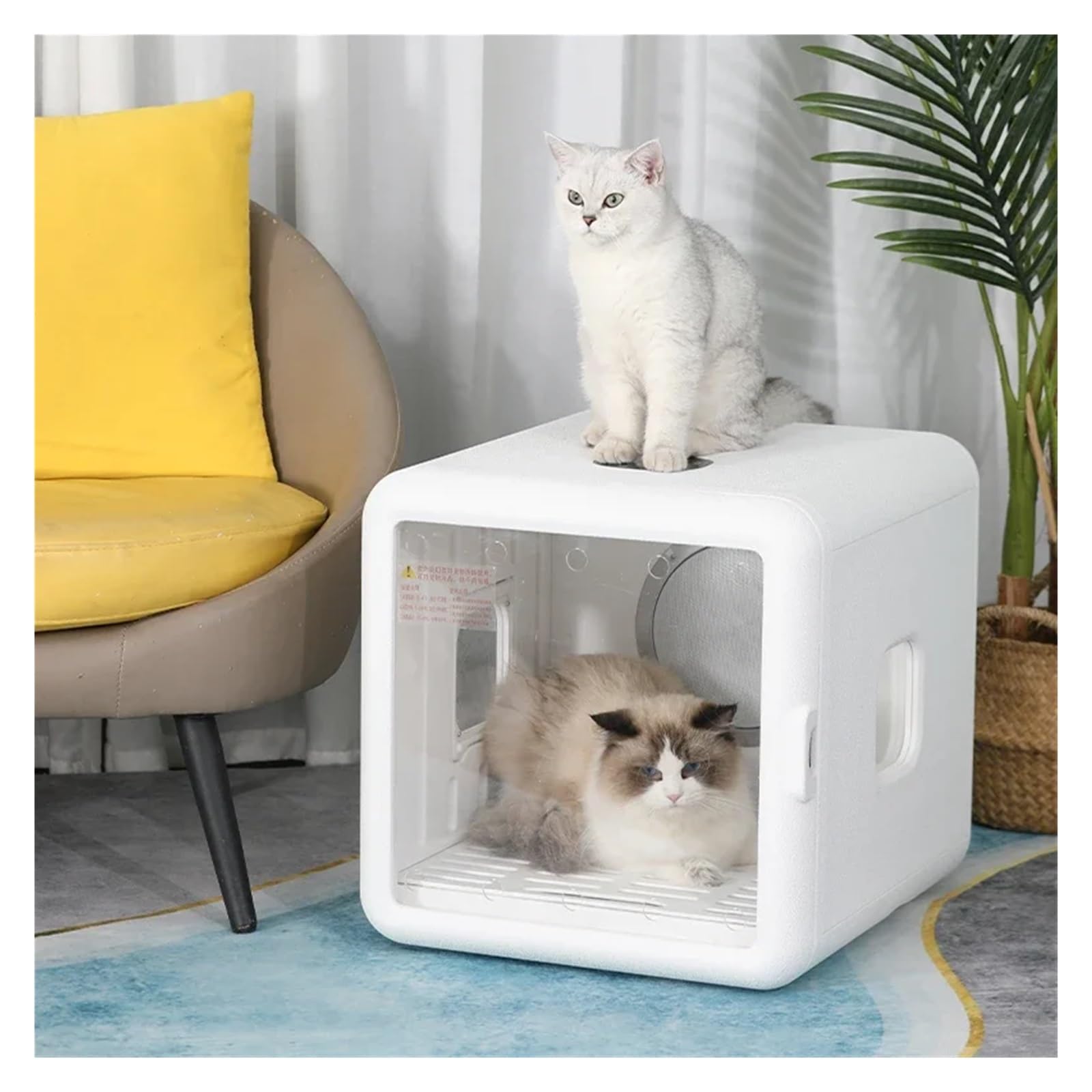Smart Automatische Haustier Haar Trocknen Box Negative Ionen Intelligente Natürliche Wind Pflege Hund Katze Schnelltrocknend(Basic Version)