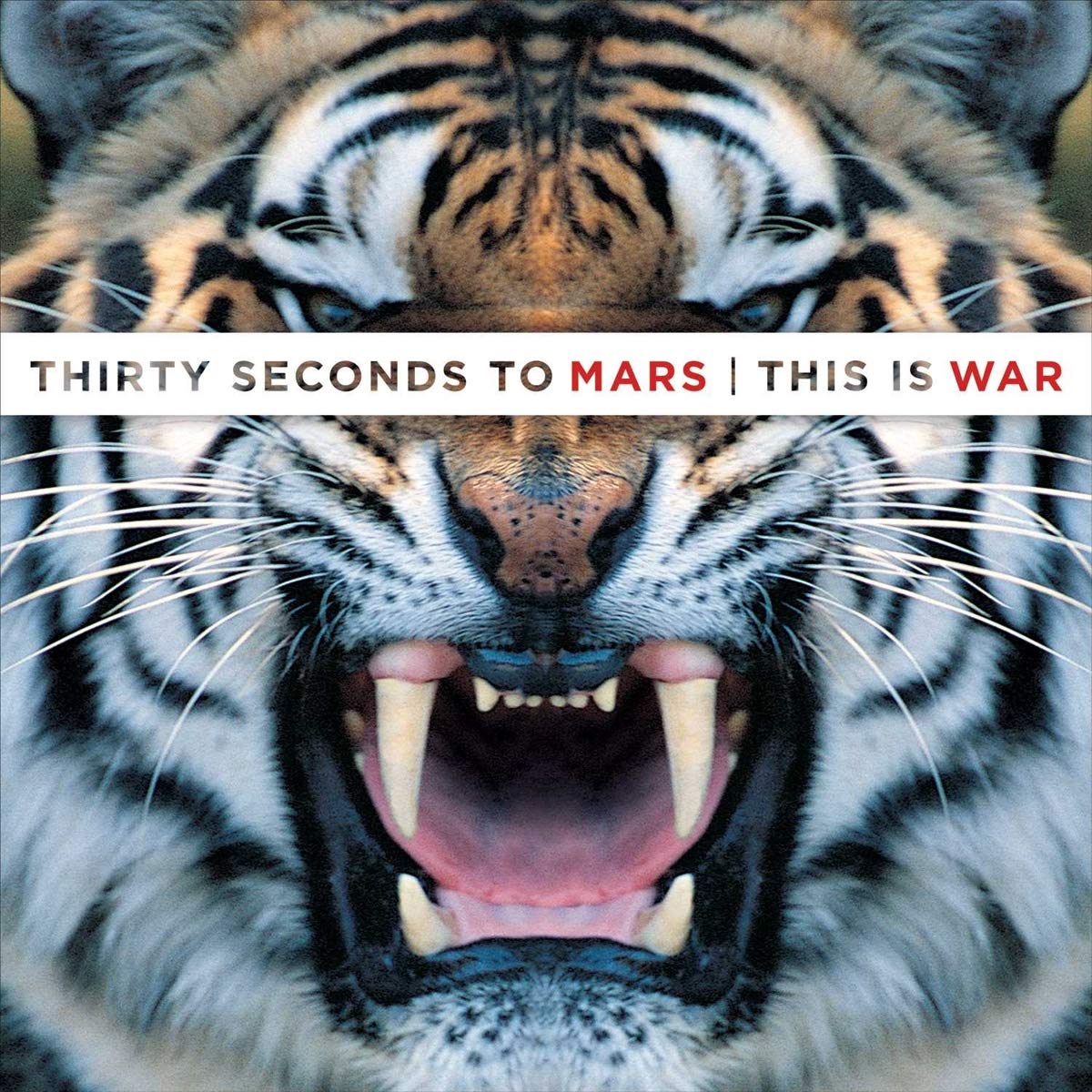 this is war (double vinyl+cd)