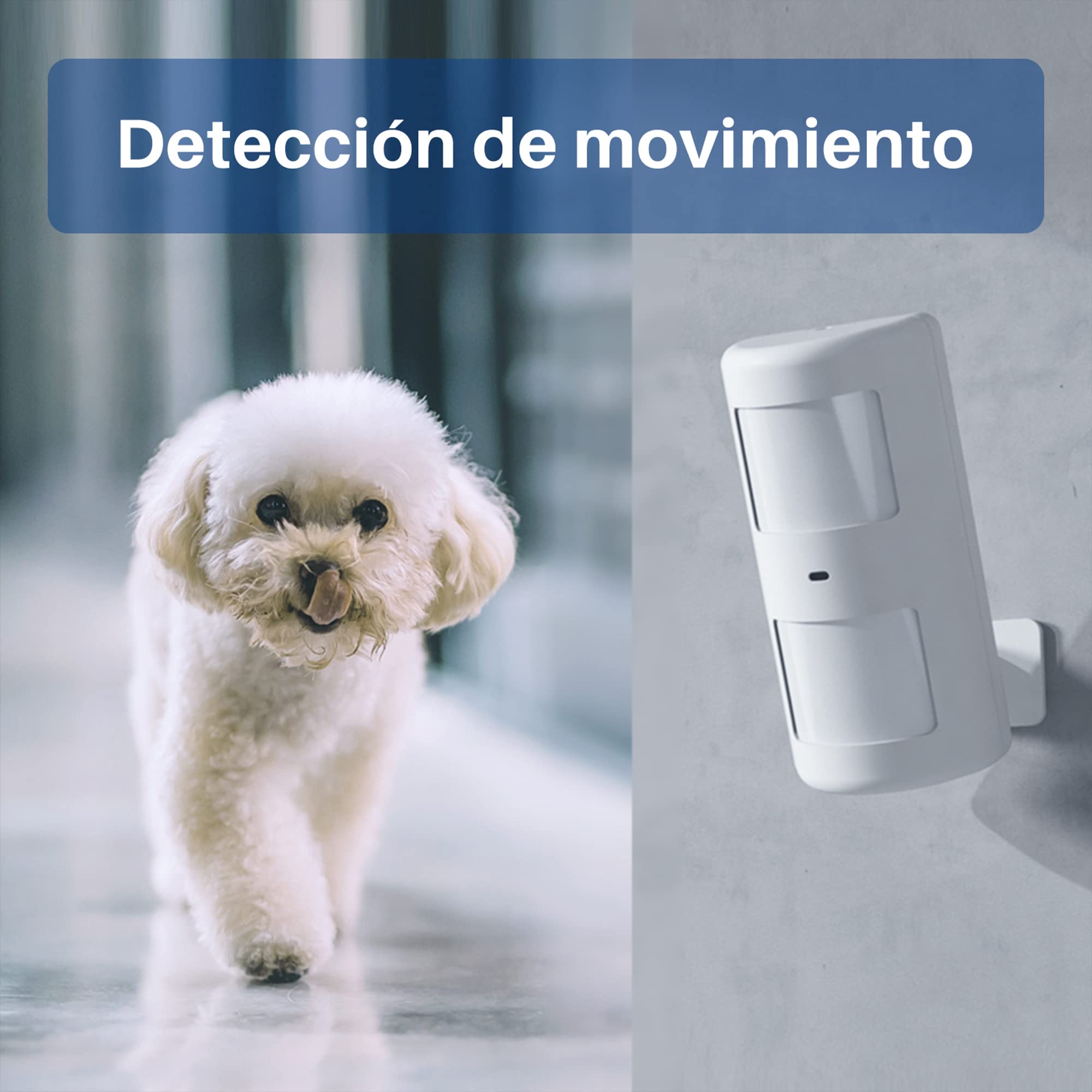 Chuango CG-105S Sistema De Alarma - con Sirena De 90db y Luz Estroboscópica, Sensores para Puerta y Ventanas, Detector de Movimiento Inmmune a Mascotas y Mando a Distancia
