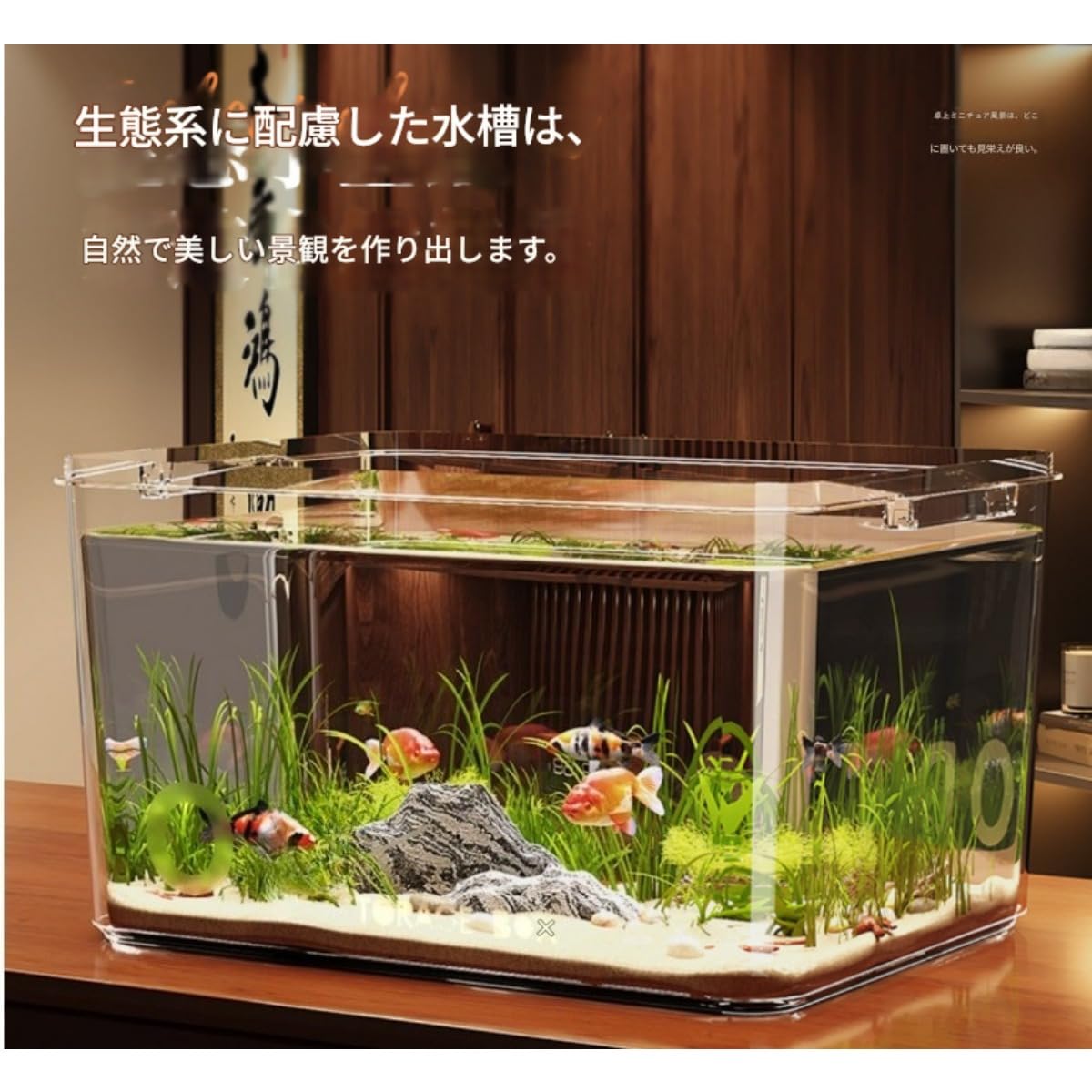 Amazon | [FILWY] 透明アクリル角型水槽 ガラス調 プラスチック製 小型