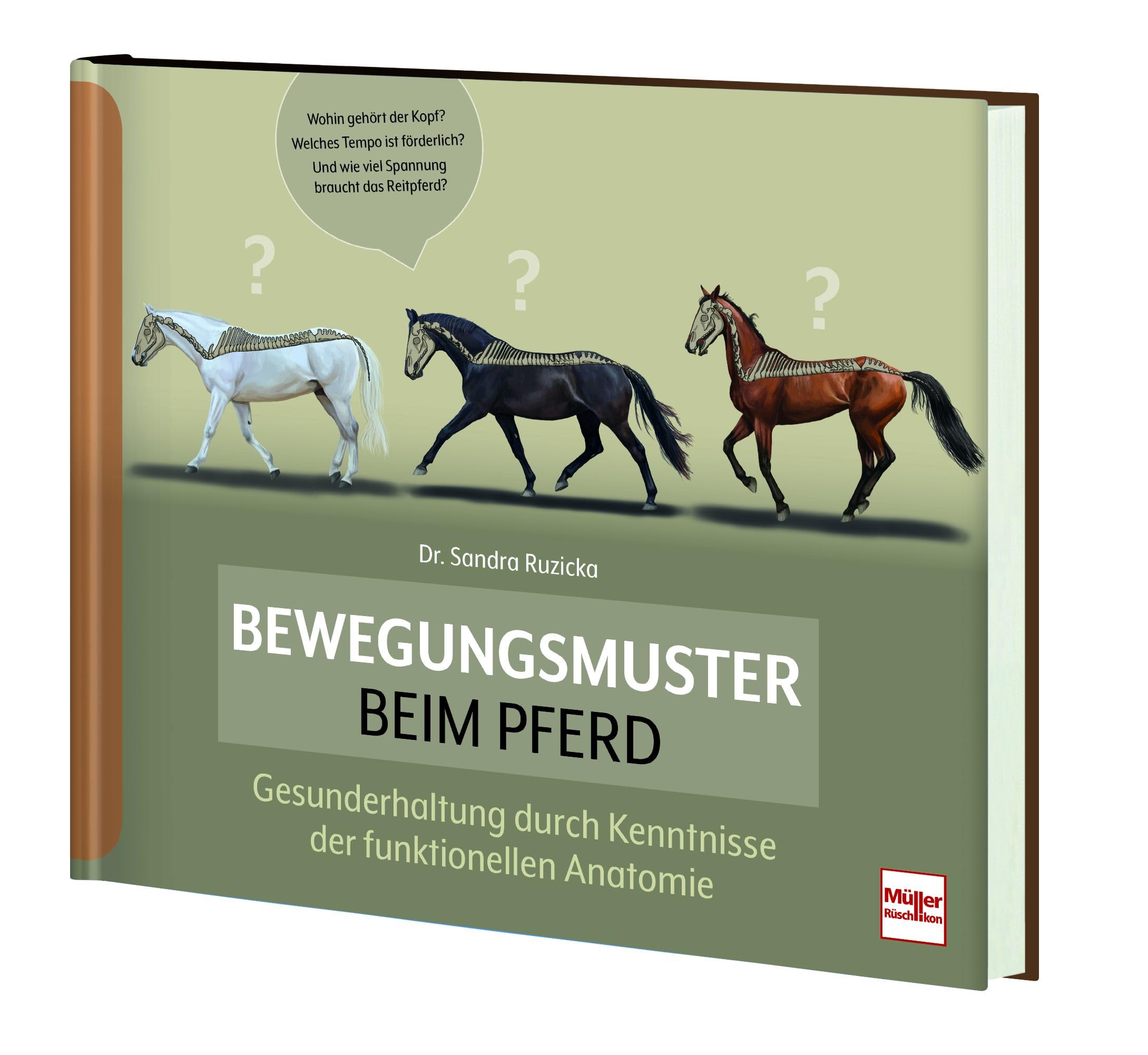 Bewegungsmuster beim Pferd: Gesunderhaltung durch Kenntnisse der funktionellen Anatomie