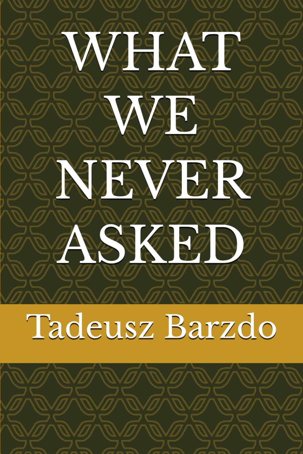 WHAT WE NEVER ASKED