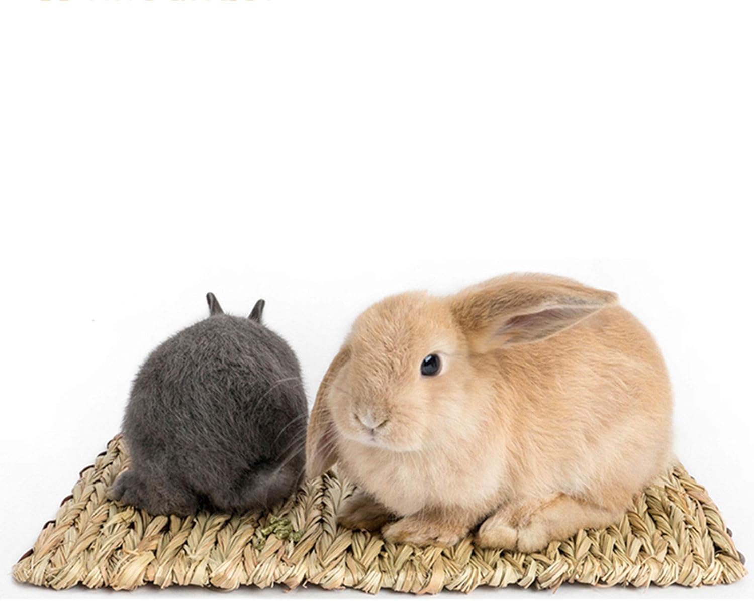 すぐ飼える！うさぎ6点セット】ケージ・トイレ・給水器・給餌器・牧草