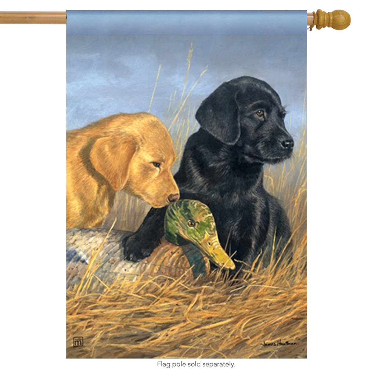 Are Labrador Retrievers House Dogs