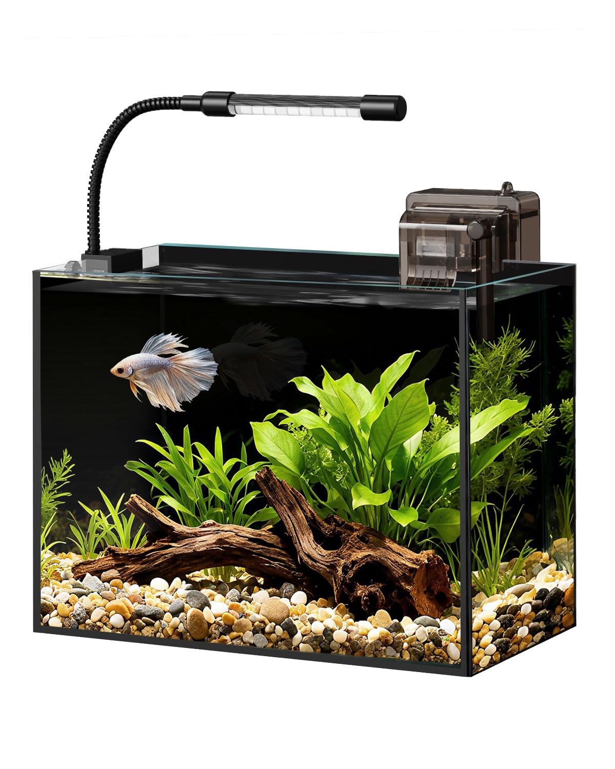 minilake 2.5 Gallon Glass Fish Tank Kit