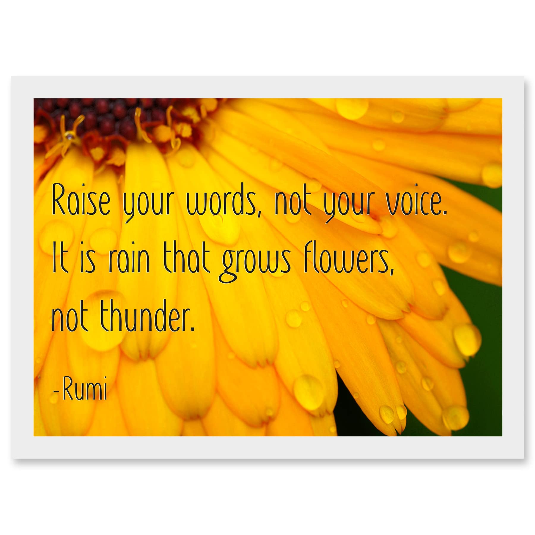 Wee Blue Coo Quote Typography Words Raise Your Words Not Voice Thunder Rumi Artwork Framed Wall Art Print A4