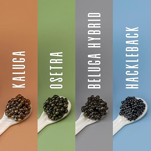 Miniatura 5 de ENVÍO DE LA NOCHE Hackleback Wild Caught American Sturgeon Black Caviar - 8 OZ 226 G - Hackleback Malossol Roe