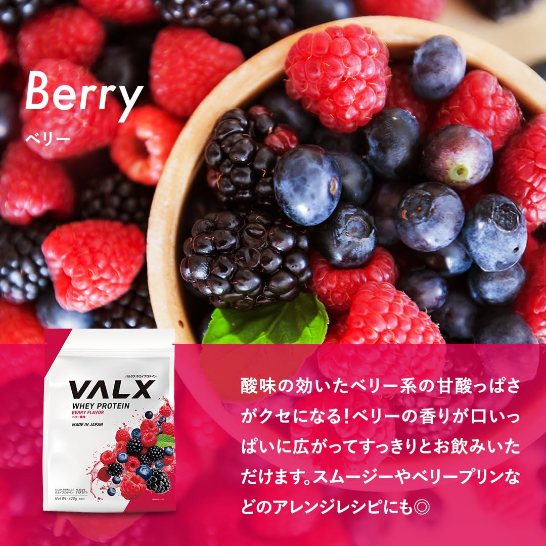 バルクス　ハエプロテイン　ベリー風味 Amazon | VALX バルクス ホエイ プロテイン 420g ベリー 風味 ホエイ
