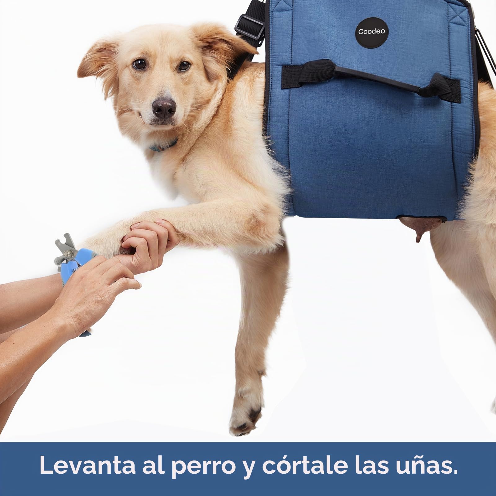 Coodeo Eslinga de Transporte para Perros, Mochila de Emergencia, Soporte para Las Piernas de Las Mascotas Y Arnés de Elevación para Perros de Rehabilitación para Cortar Las Uñas (M, Azul)