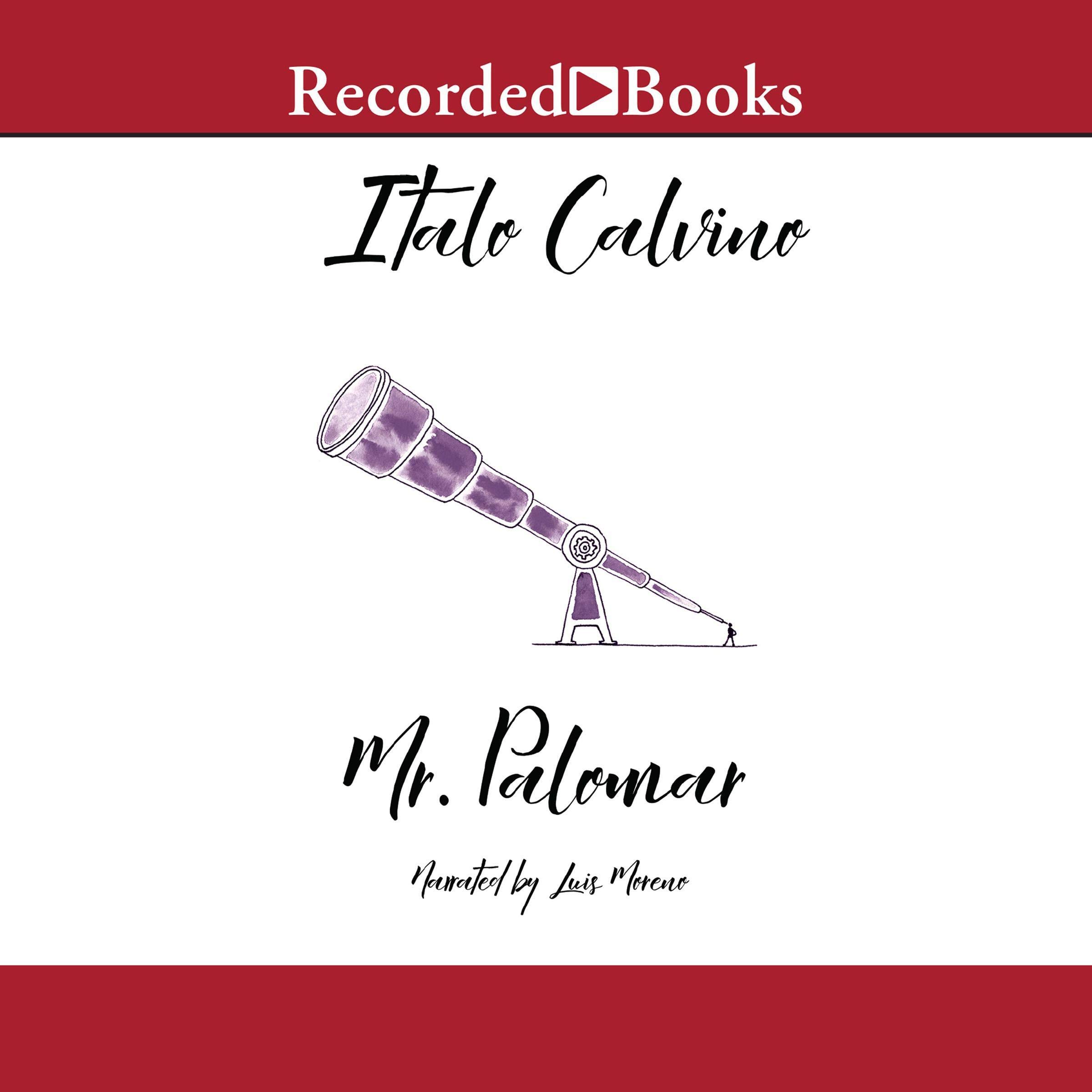 Cover art for Mr. Palomar