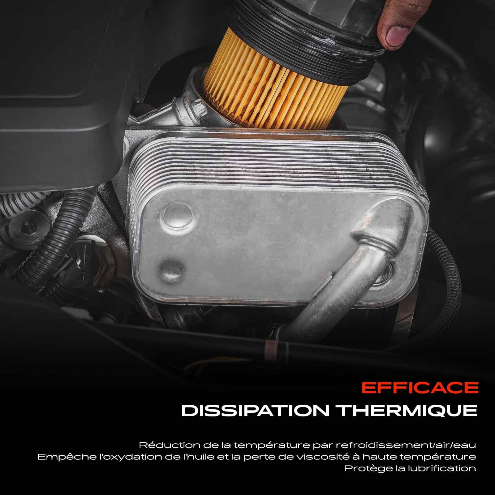 Frankberg Huile moteur du refroidisseur d'huile V40602107 | Compatible avec: Astra J Berline, Cruze Station Wagon J308, Astra J P10, Cruze Hatchback J305, Cruze J300