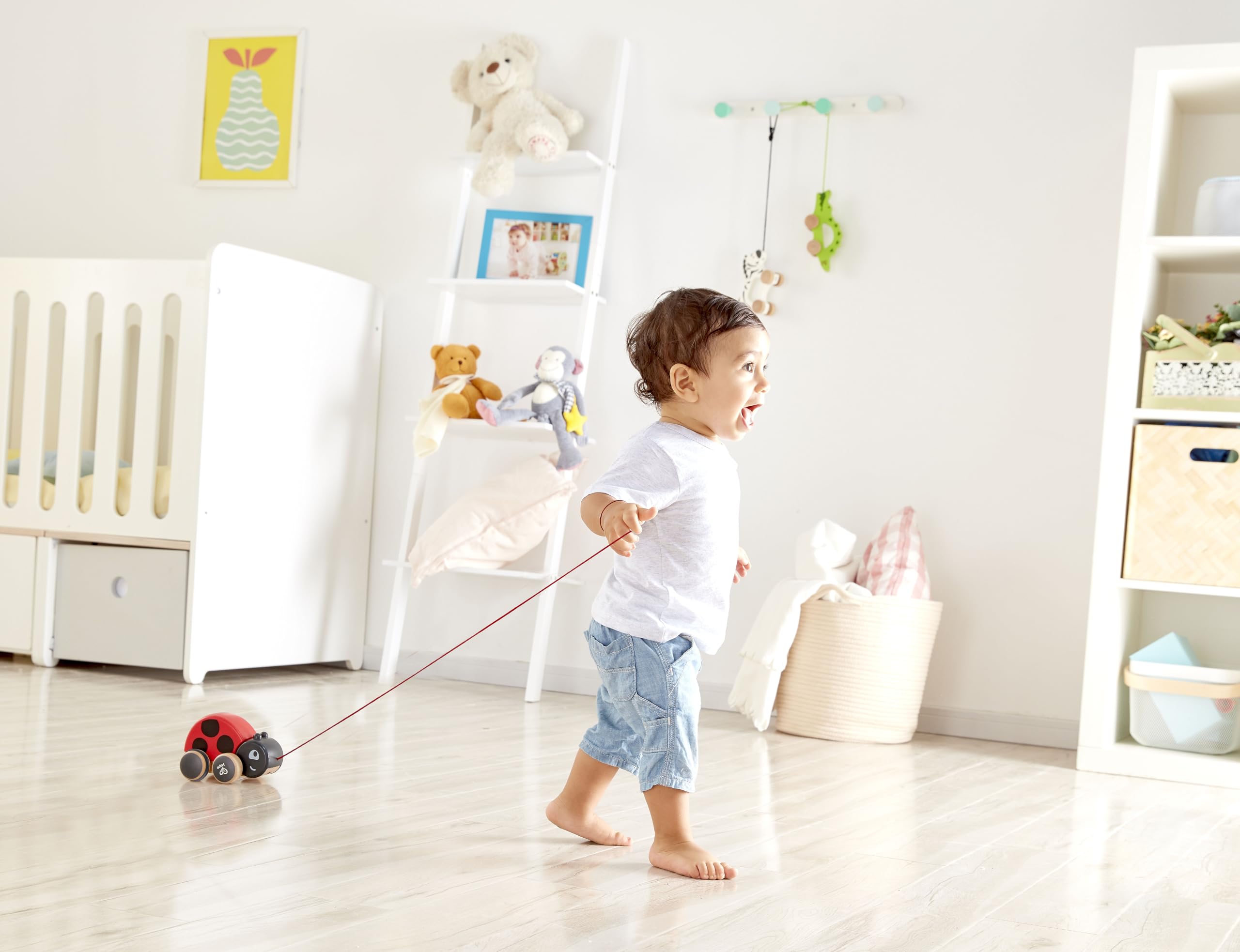 Hape Coccinella Spingi&Tira - Animali in legno trainabili con cordino e rotelle - Push&Pull Toys per bambini dai 12 mesi