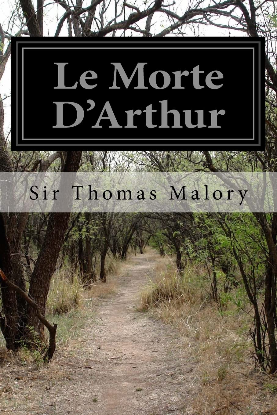 Le Morte D'Arthur: Volume 2