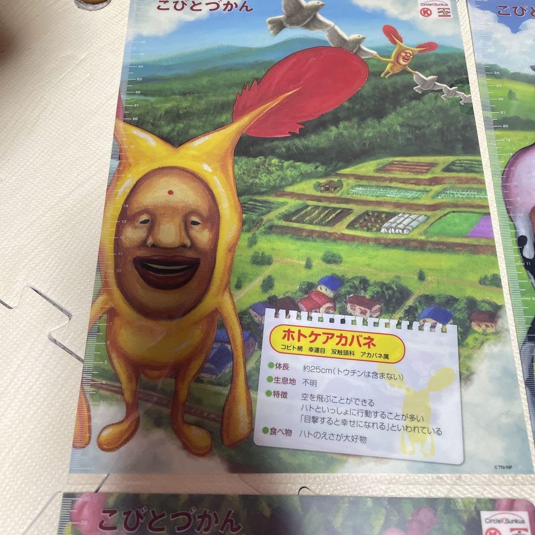 Amazon.co.jp: こびとづかん A4クリアファイル 4枚セット コンビニ