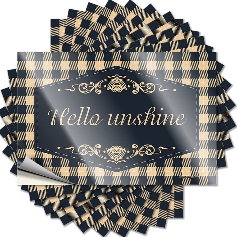 Prank Stickers for Adults Hello Sunshine Funny Sticker 10 Pcs Man Cave Signs and Decor Car Stickers for Men(12X18CM)