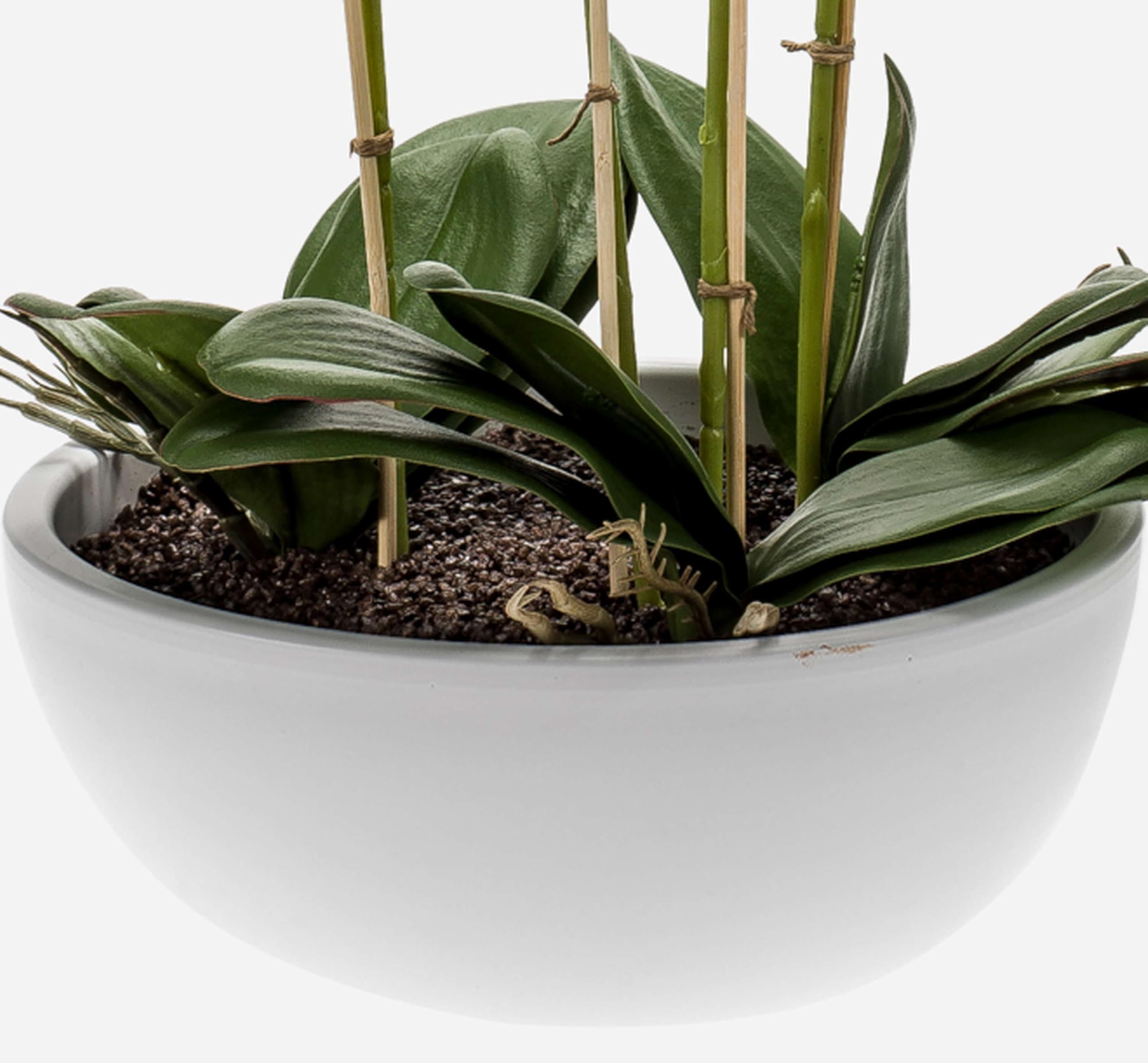 artplants Orquídea phalaenopsis Artificial Mina, Blanco, 60cm