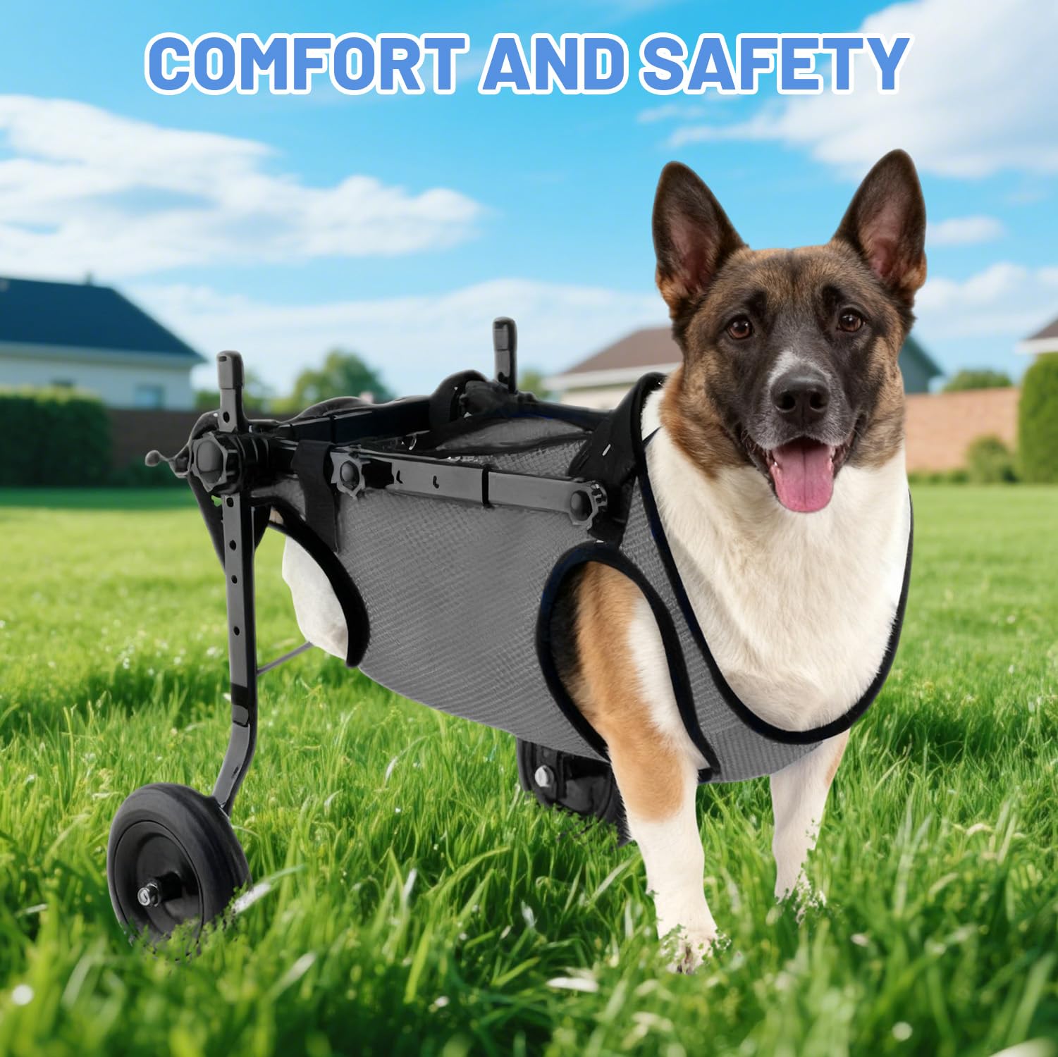 Piccola sedia a rotelle per cani, per gambe posteriori, per cani e gatti, per animali domestici, supporta la guarigione, carrello per cani e sedia a rotelle per feriti e debolezza delle zampe
