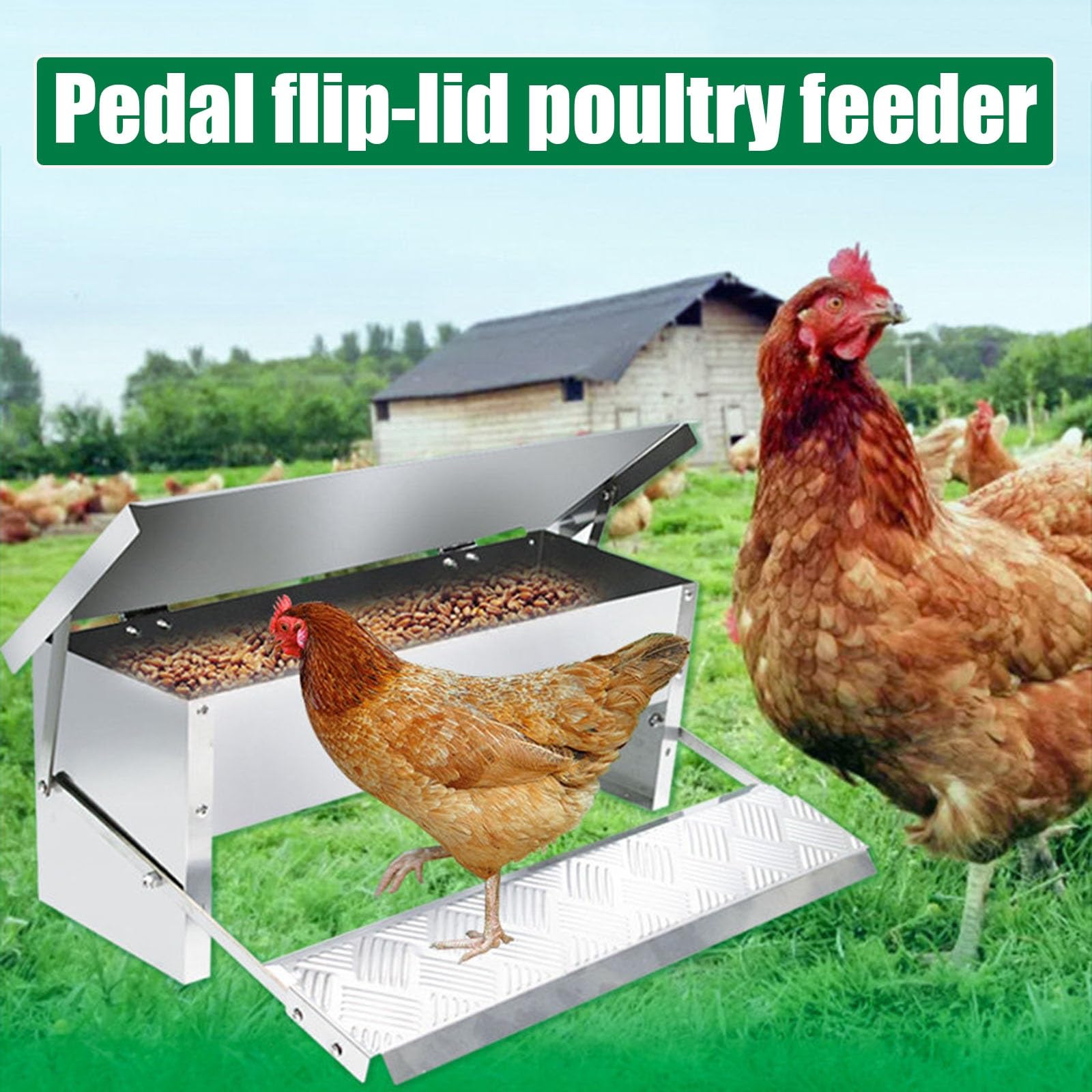 Comedero Automático A Pedal Para Gallinas, Resistente A La Lluvia Y A Roedores, Para Gallinas Enanas, Gallos Y Faisanes En Gallinero Exterior