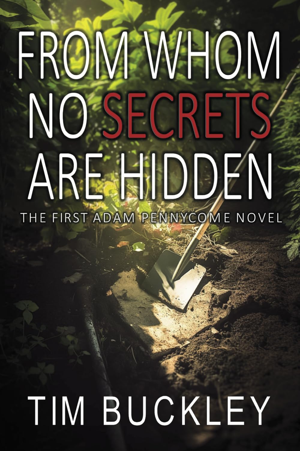 From Whom No Secrets Are Hidden: A Christian Crime Fiction Novel: 1 (A D.S. Adam Pennycome Mystery)