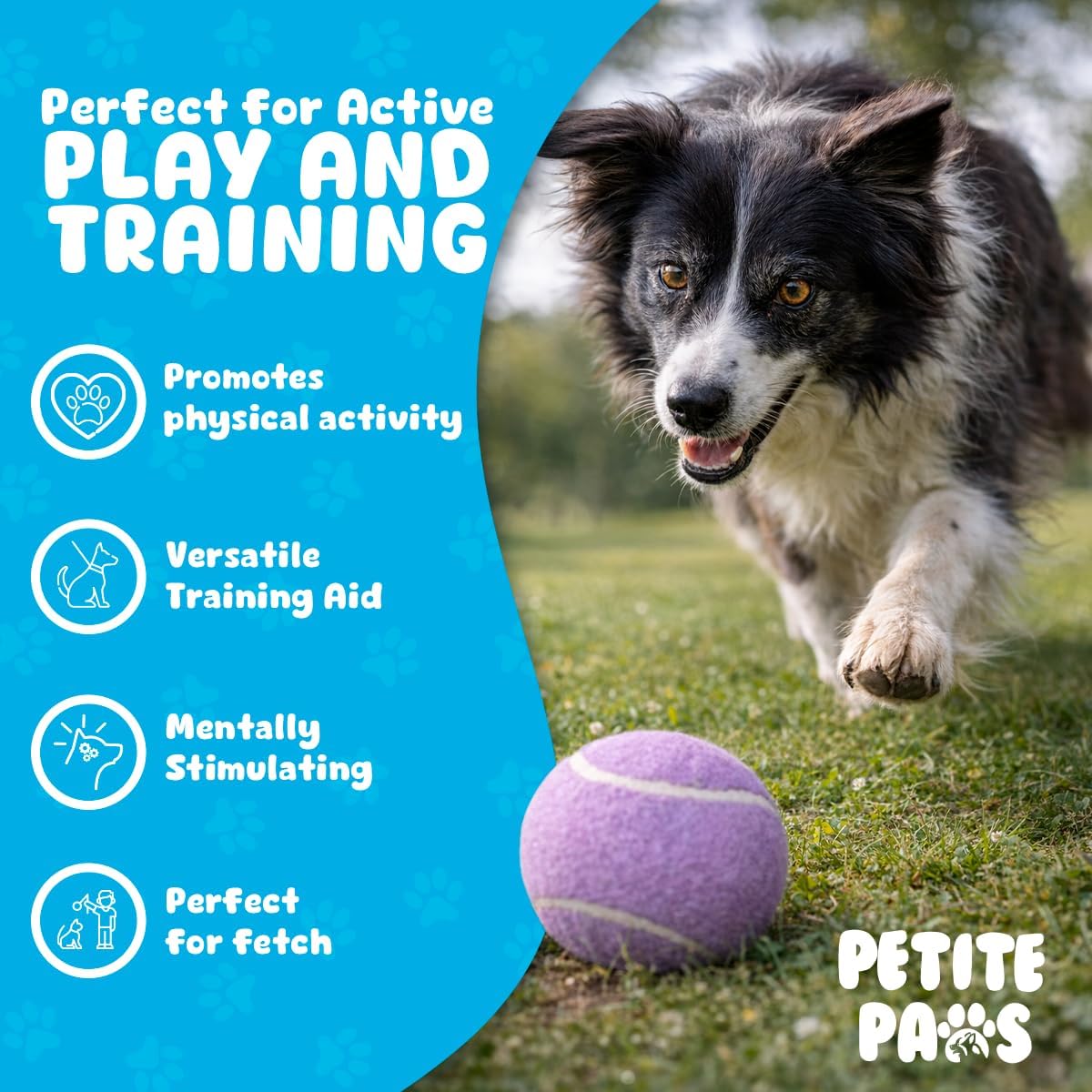 BundleBee Petite Paws Squeaky Tennis Balls for Dogs 2.5 Inch - 12 Pack Dog Toy Balls - Non-Toxic Rubber Squeaky Balls for Medium Large Dogs, Fetch Training Toys, Colorful Bouncy Dog Ball