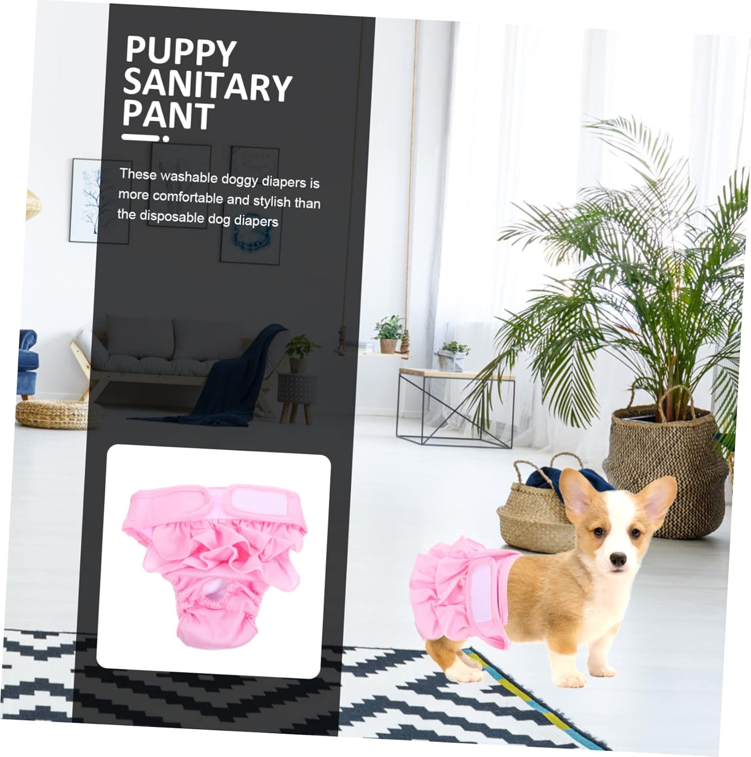 FRCOLOR 5pcs Outdoor Dog Pants Absorbent Pet Diaper for Male Female Dogs Comfortable Period Panties for Heat Training