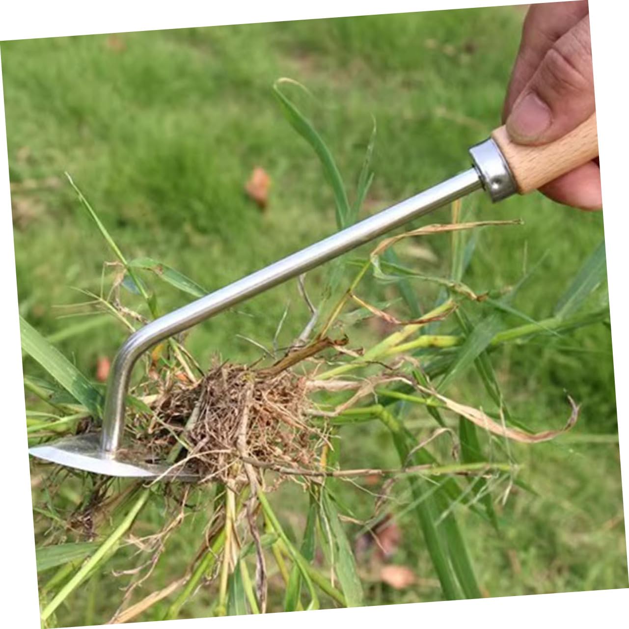 ibasenice 2 Pezzi Mano di Giardinaggio di Nuovo estrattore Staccabile Maniglia Manuale sarchiatore per Erbacce Utensili sarchiatrice attrezzo a forchetta per diserbo di Legno
