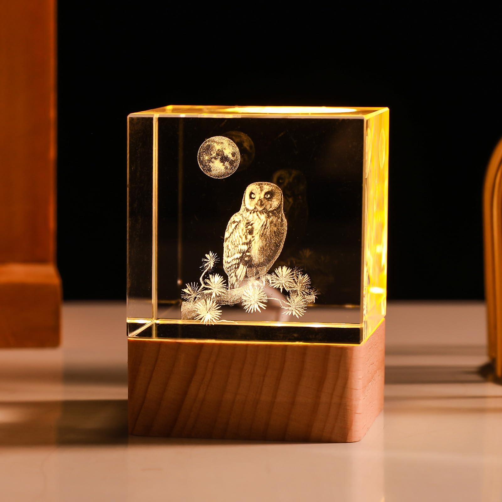 LONGWIN Owl Gifts for Owl Lovers Women, 3D Led Night Light 50mm