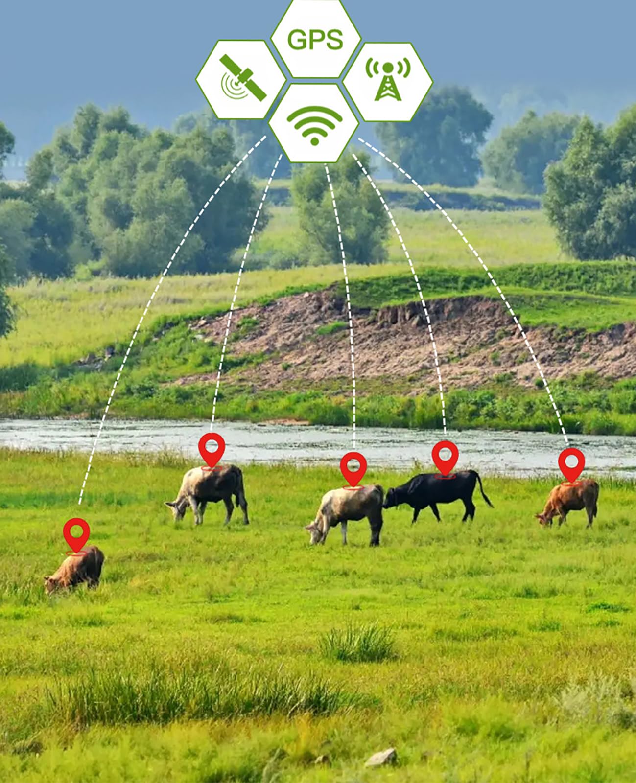 McbeAn Localizador GPS De Animales, Rastreador Solar De Mascotas, Posicionamiento En Tiempo Real, Seguimiento Histórico| Alarma Remota| Monitoreo Móvil| IP68 a Prueba De Agua, para Bovinos, Ovinos