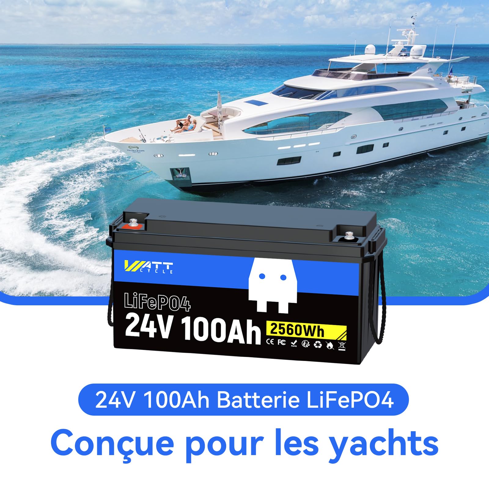 Batterie Lithium 24V 100Ah,24v LiFePO4 Batterie avec Protection de 100A BMS