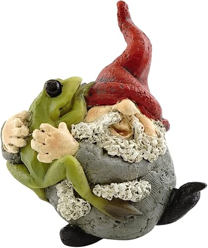 Top Collection Figura miniatura para jardín de hadas y terrario, gnomo abrazando rana