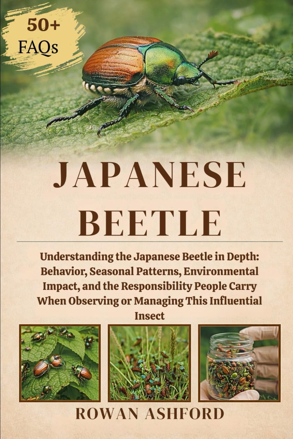 JAPANESE BEETLE: Understanding the Japanese Beetle in Depth: Behavior, Seasonal Patterns, Environmental Impact, and the Responsibility People Carry When Observing or Managing This Influential Insect