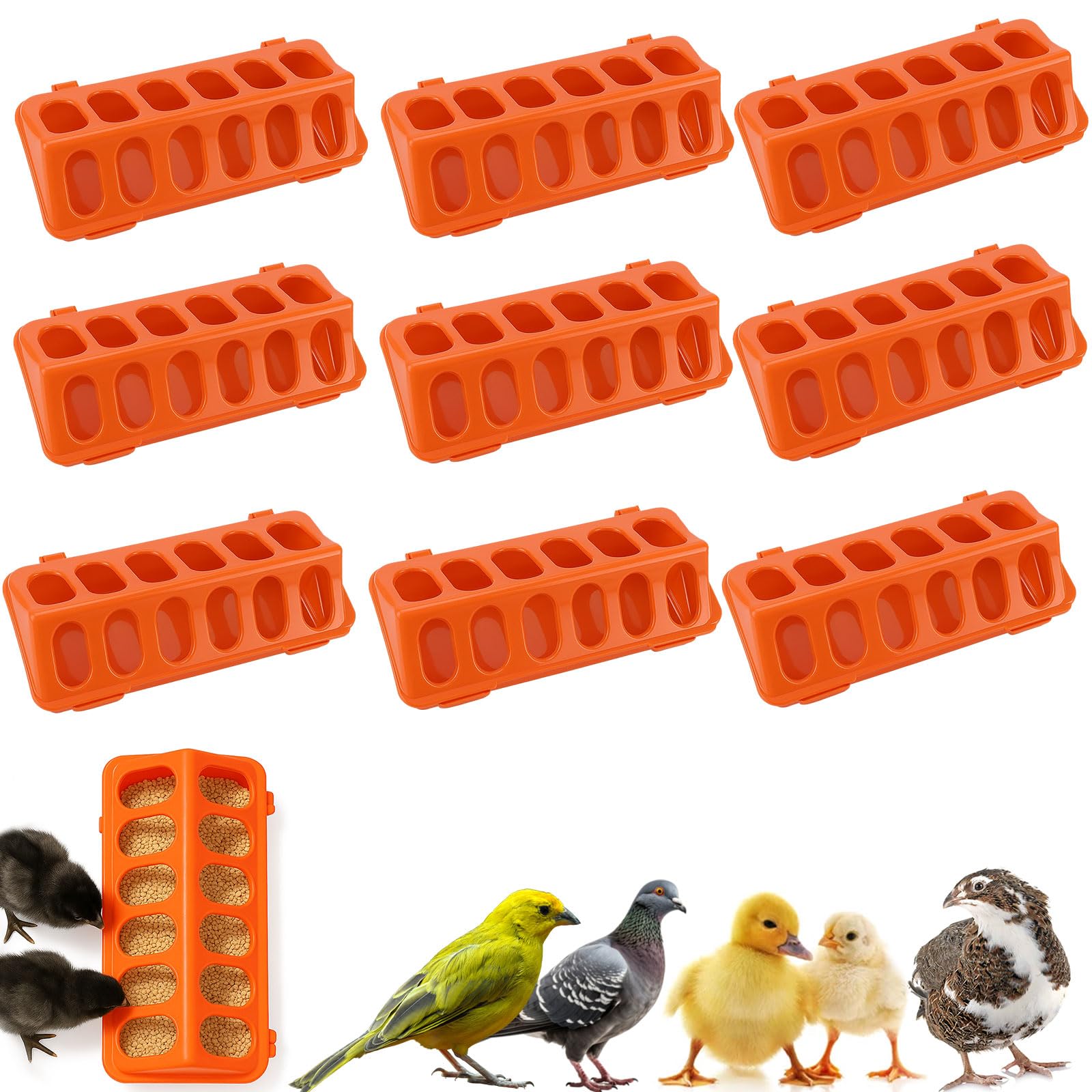10 Pack Plastic Flip-Top Poultry Feeder Tray – No Mess Chick Feeder for Baby Chicken, Quail, Ducklings, Pigeons – Spill-Proof Brooder Trough for Small Birds