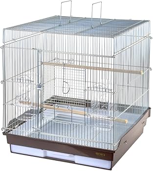 Amazon | ホーエー HOEI 465インコ手のりG ブラウン