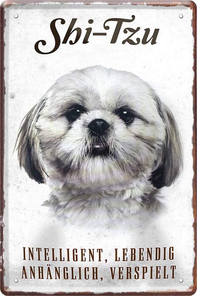 TopPacific Shih Tzu - Targa Vintage In Metallo Con Scritta In Lingua