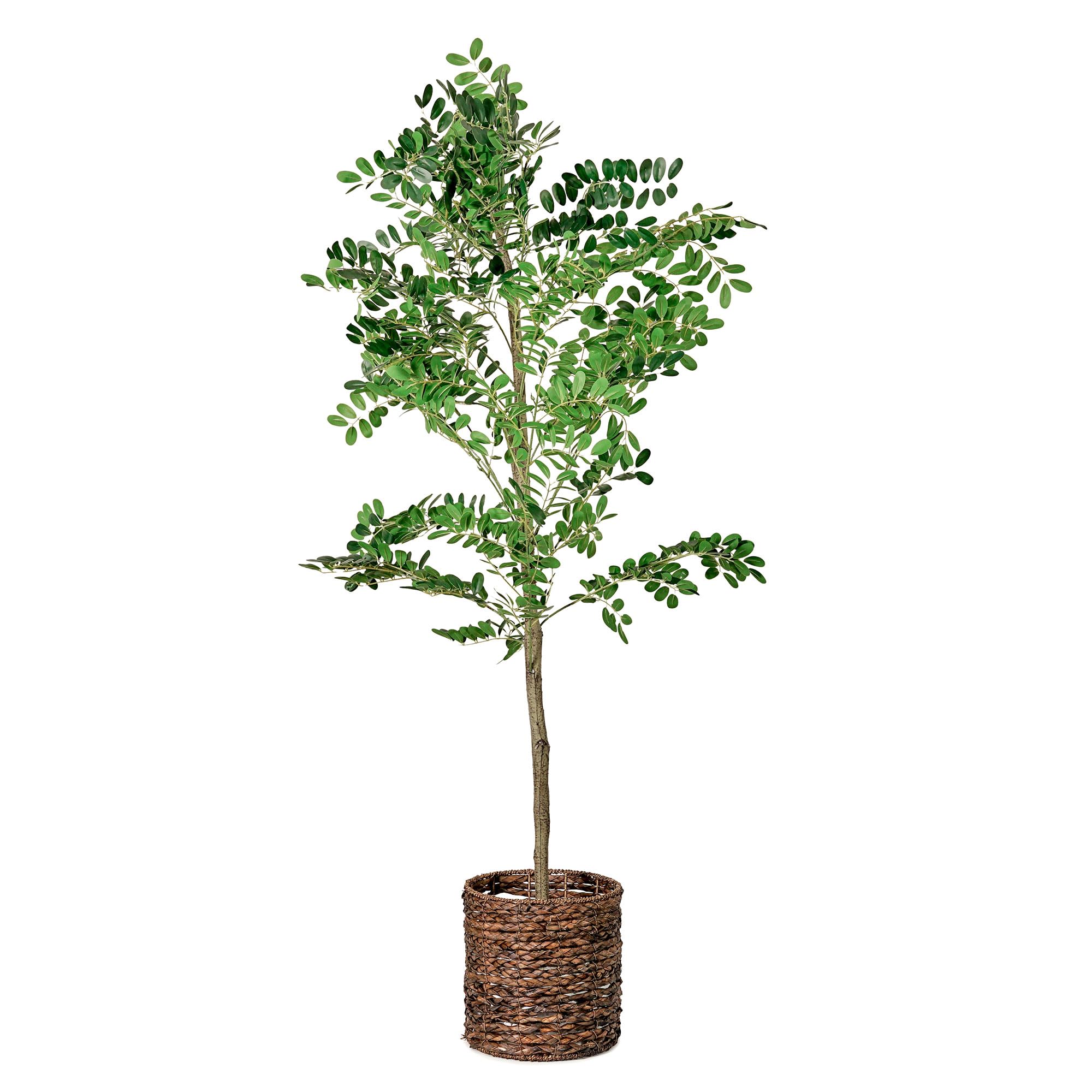 American Art DecorBotanica Home Artificial Sorbus Tree in Water Hyacinth Woven Basket 60"