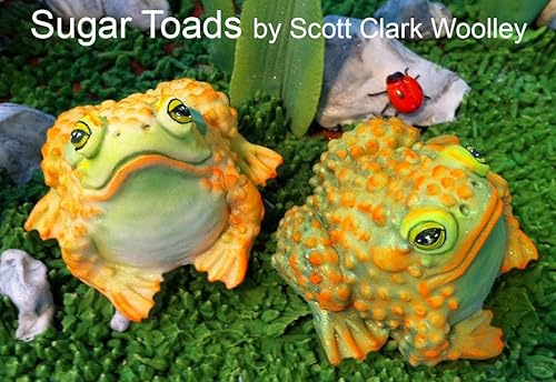 Miniatura 3 de Scott Clark Woolley Toad - Molde de silicona