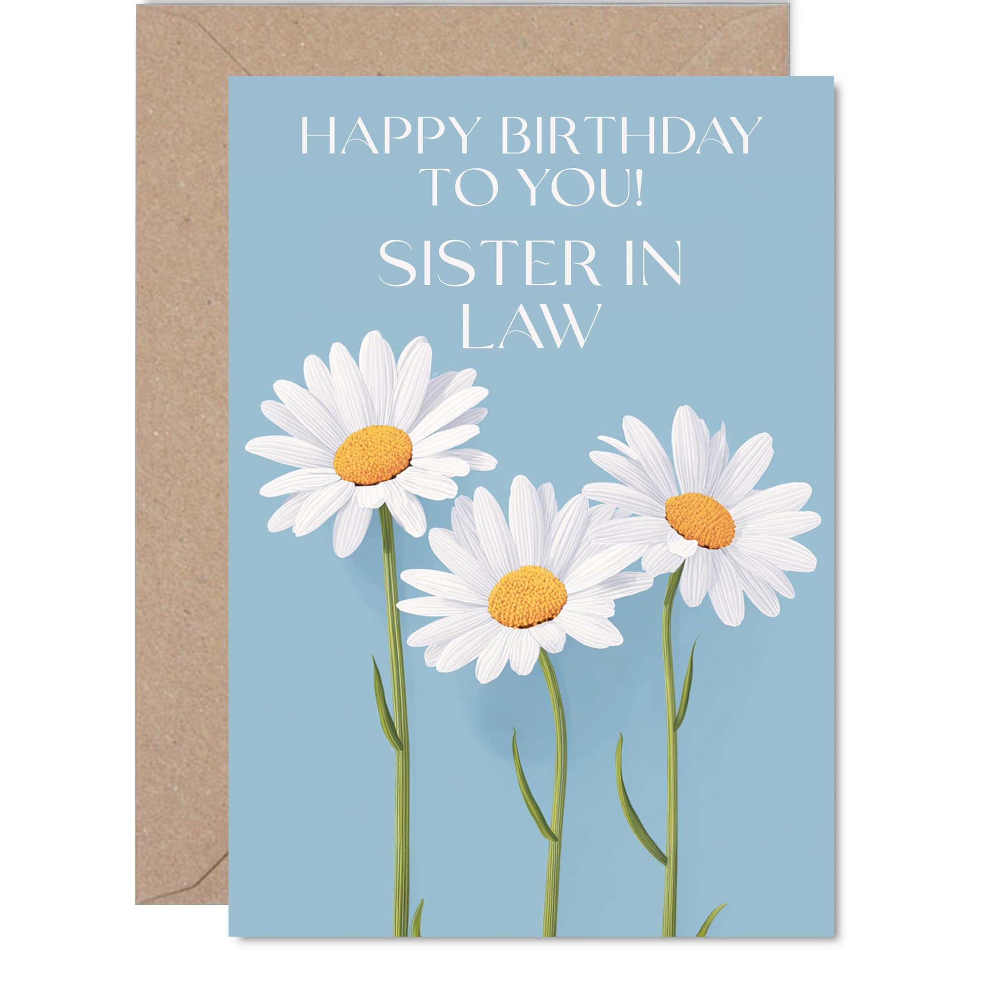 Sister in Law Birthday Card - Wild Daisies - Happy Birthday Card for Sister in Law from Brother Sibling, A5 Floral Flowers Bday Greeting Cards