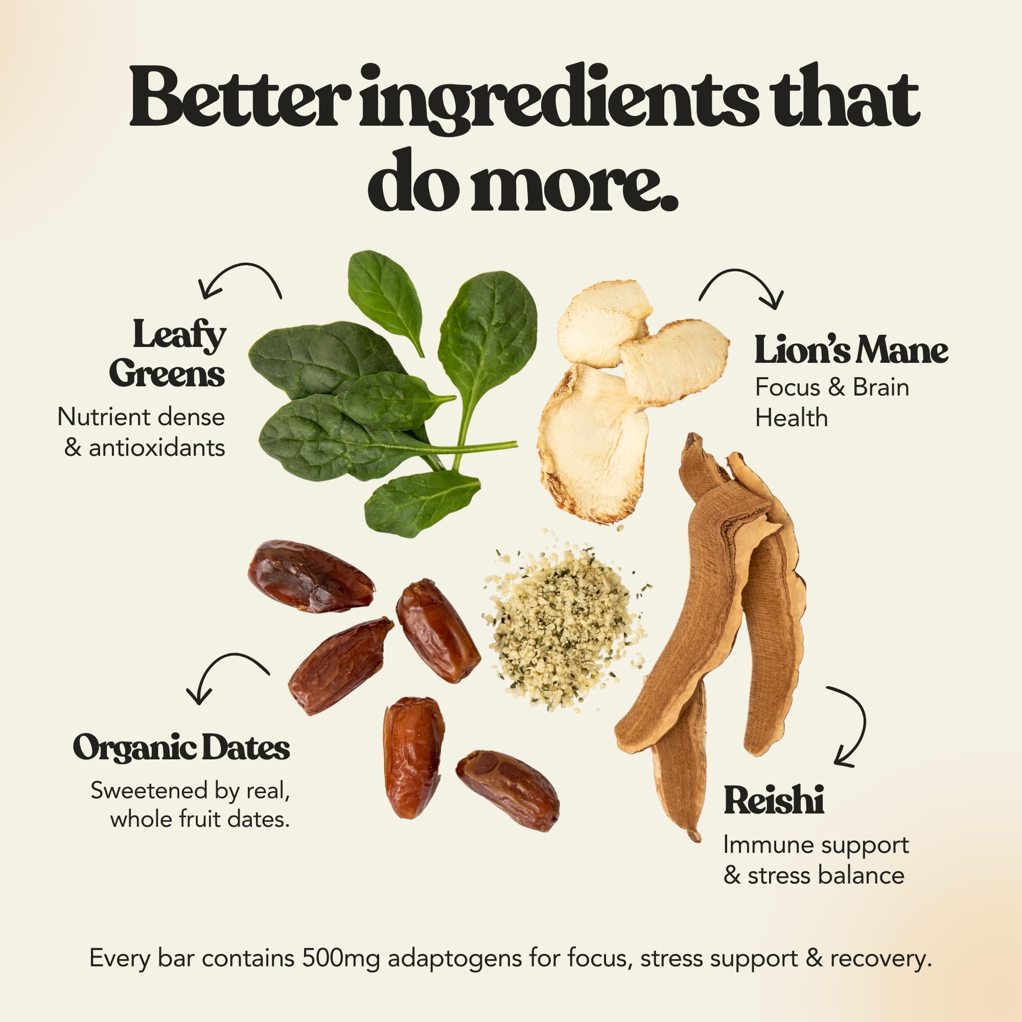 SEND Bars Variety Box Superfood Organic Protein Bars, 12g Protein, 8 Pack — Amazon image 6