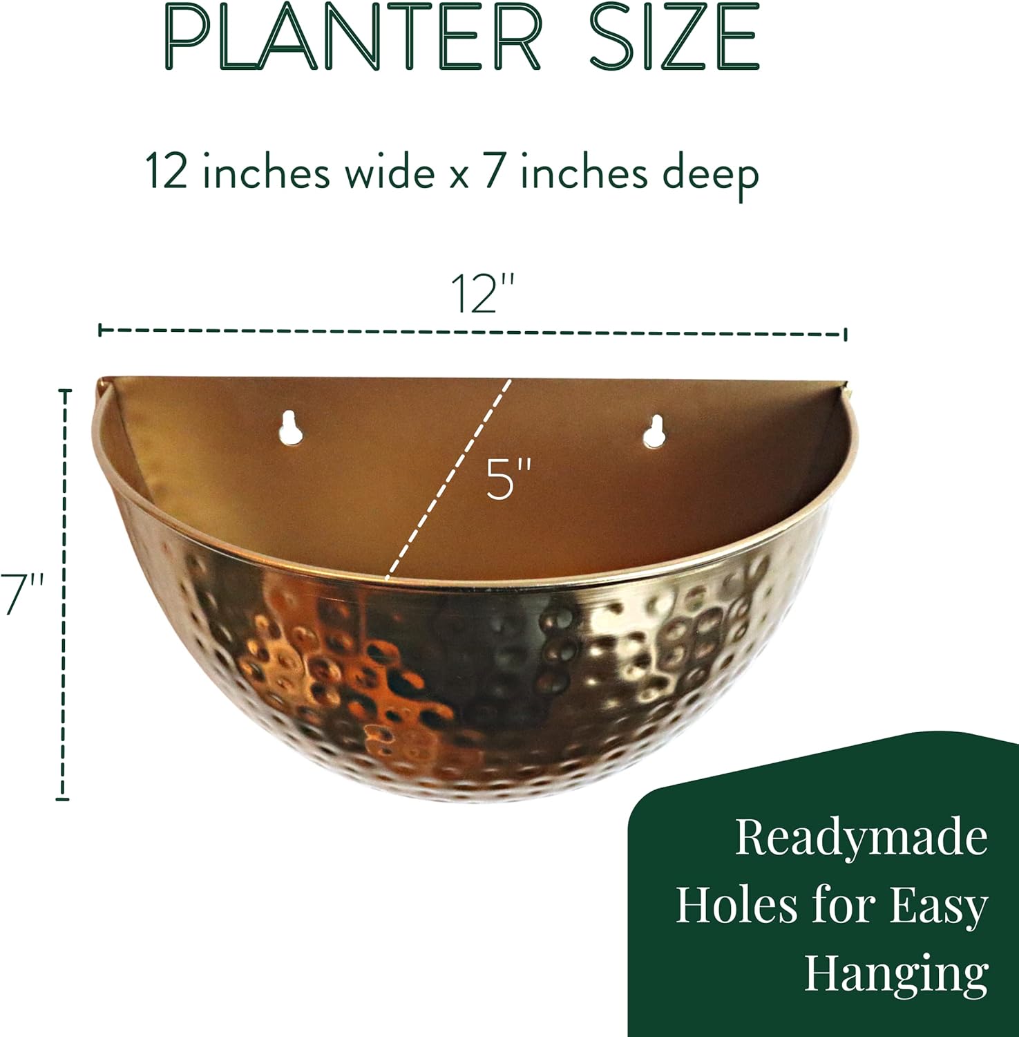 Allegorie Metal Wall Planter | Indoor or Outdoor Hanging Plant Pot | Farmhouse Decor & Boho Kitchen Decoration for Herbs & Succulents and Living Wall 12x7 (Gold)